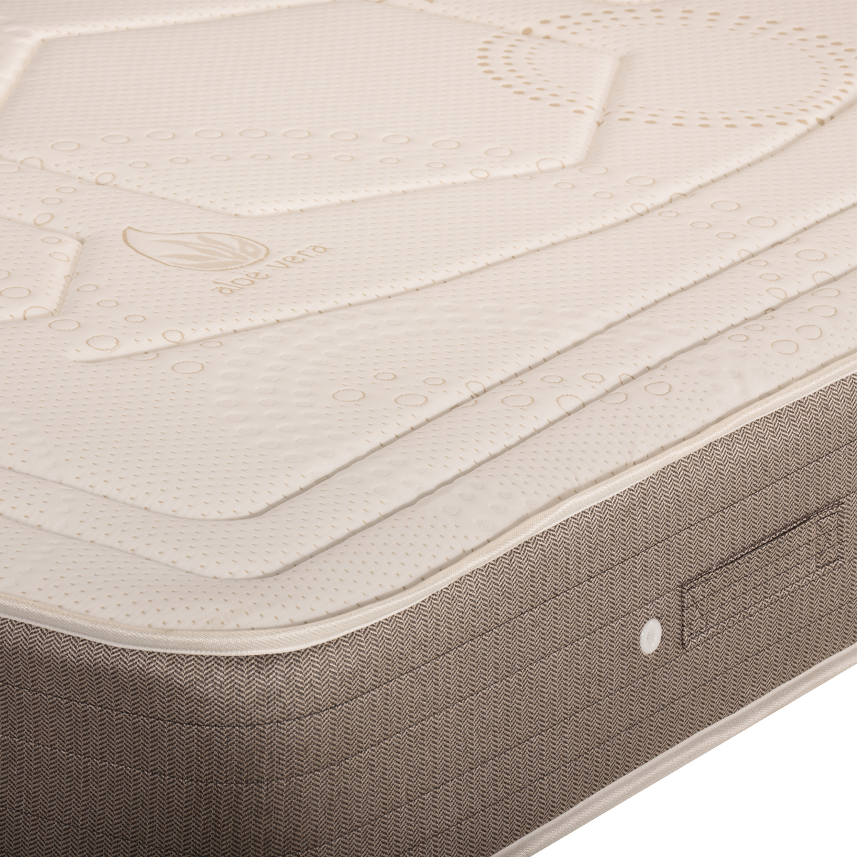  Anatómico Medicinal